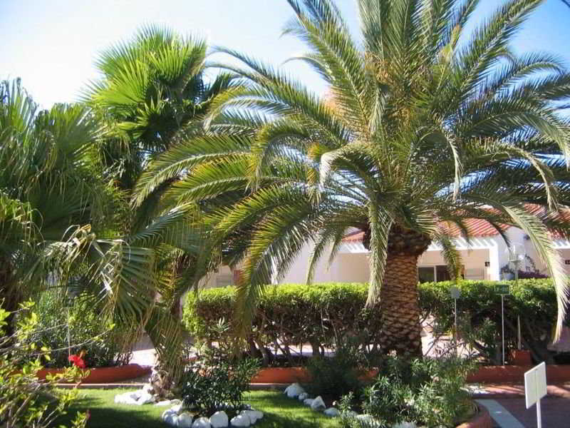 Parque Paraiso I Playa del Inglés Extérieur photo