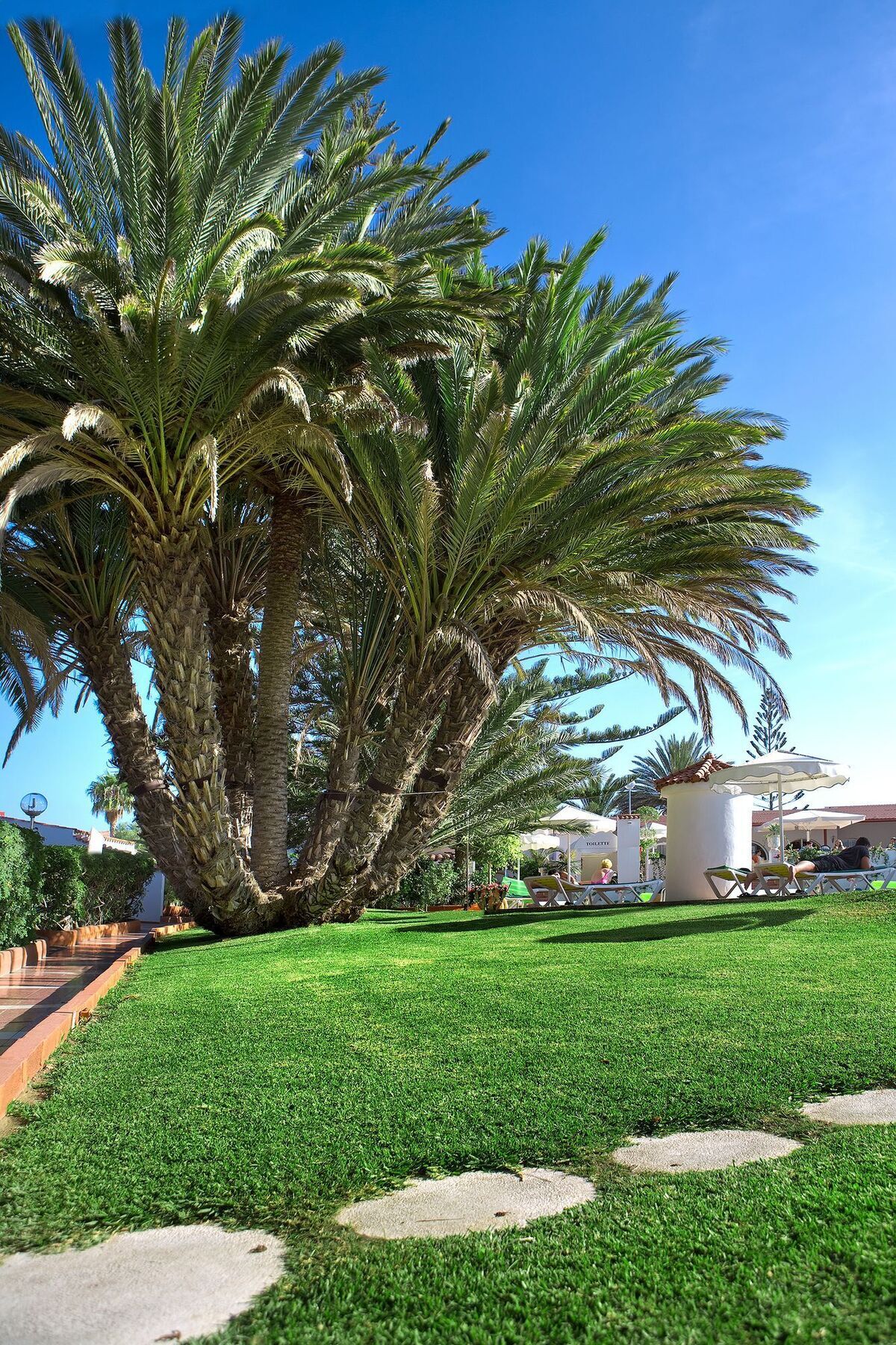 Parque Paraiso I Playa del Inglés Extérieur photo